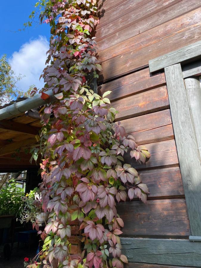 Садиба "У Чубчика" Hotel Yaremche Luaran gambar