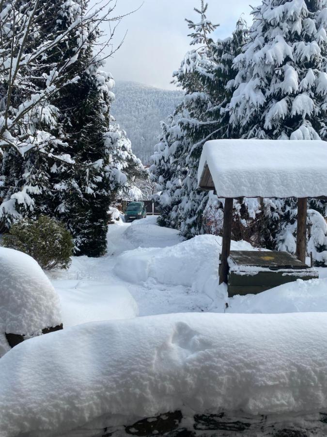 Садиба "У Чубчика" Hotel Yaremche Luaran gambar